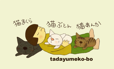 3にゃんのかわいいシール☆