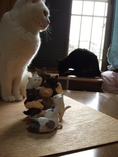DSCF1234-web.jpg