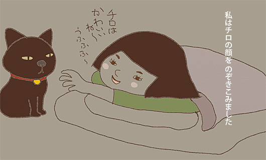 私はチロの顔をのぞきこみました