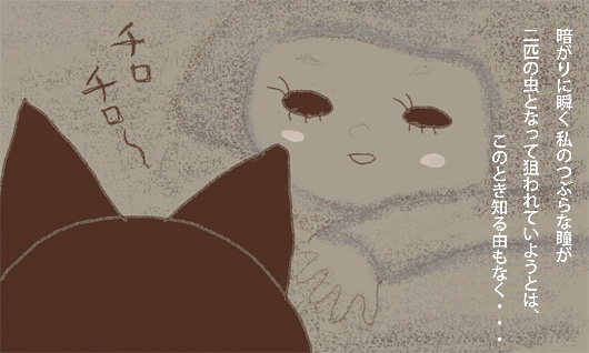 暗がりに瞬く私のつぶらな瞳が 二匹の虫となって狙われていようとは、このとき知る由もなく・・・