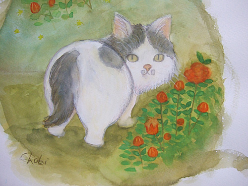 オレンジ色の小さな花はチョビの思い出