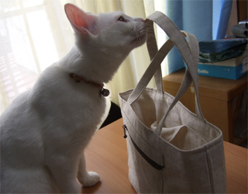 mika-bag2.jpg