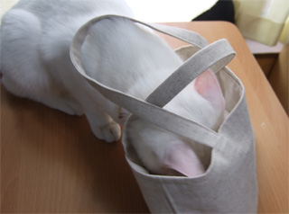 mika-bag3.jpg
